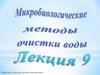 Кинетическое лимитирование роста и жизненные стратегии микроорганизмов