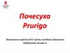 Почесуха Prurigo
