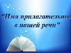 Имя прилагательное в нашей речи