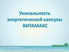 Энергетическая капсула Витамакс