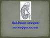Вводная лекция по нефрологии