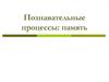 Познавательные процессы: память