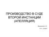 Производство в суде второй инстанции (апелляция)