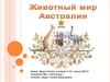 Животный мир Австралии
