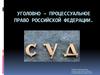 Уголовно – процессуальное право Российской Федерации