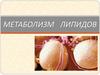 Метаболизм липидов