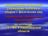 Выступление начальника управления налогов и сборов с физических лиц в Николаевской области