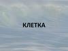 Клетка. Растительная клетка