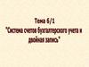 Система счетов бухгалтерского учета и двойная запись