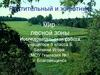 Растительный и животный мир лесной зоны (8 класс)