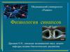 Физиология синапсов
