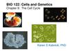 Evolution and the foundations of biology. Cells and genetics. (Сhapter 9)