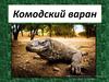 Комодский варан