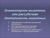 Элементарное мышление, или рассудочная деятельность животных