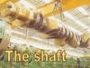 The shaft