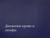 Движение крови и лимфы
