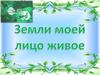 Земли моей лицо живое. Литературное путешествие по эколого-краеведческим изданиям, посвященным Чувашскому краю