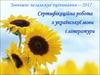 Зовнішнє незалежне оцінювання – 2017 Сертифікаційна робота з української мови і літератури