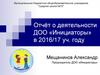 Отчёт о деятельности ДОО «Инициаторы» в 2016/17 уч. году