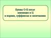 Буквы о-ё после шипящих и Ц в корнях, суффиксах и окончаниях