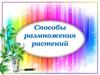 Способы размножения растений