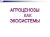 Агроценозы как экосистемы