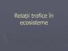 Relaţii trofice în ecosisteme