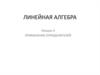 Линейная алгебра. Применение определителей