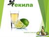 Мексиканский напиток текила
