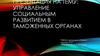 Управление социальным развитием в таможенных органах