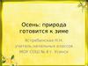 Осень: природа готовится к зиме