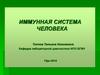 Иммунная система человека