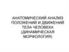 Анатомический анализ положений и движений тела человека (динамическая морфология)