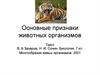 Основные признаки животных организмов