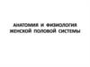 Анатомия и физиология женской половой системы