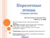 Перелетные птицы
