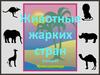 Животные жарких стран (загадки, тени)