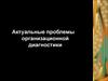 Актуальные проблемы организационной диагностики