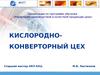 Управление производством и качеством продукции цеха.Кислородно- конверторный цех