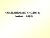 Нуклеиновые кислоты