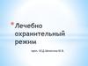 Лечебно-охранительный режим