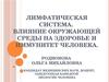 Лимфатическая система. Влияние окружающей среды на здоровье и иммунитет человека