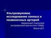 Ультразвукововое исследование сосудов. Позвоночные артерии