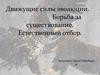 Движущие силы эволюции. Борьба за существование. Естественный отбор