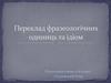 Переклад фразеологічних одиниць та ідіом