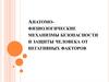 Анатомо-физиологические механизмы безопасности и защиты человека от негативных факторов