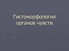 Гистоморфология органов чувств