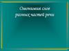 Омонимия слов разных частей речи