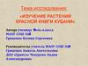 Изучение растений Красной книги Кубани