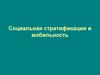 Социальная стратификация и мобильность